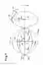 Fig. 02 - Degassing method, degassing device and use of screw elements