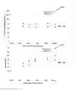 Fig. 05 - Metal matrix hydrophobic nanoparticle composites and methods of synthesis