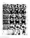 Fig. 06 - Metal matrix hydrophobic nanoparticle composites and methods of synthesis