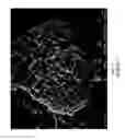 Fig. 08 - Processes using molecular sieve SSZ-91