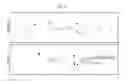 Fig. 09 - Composition for inducing direct transdifferentiation into oligodendrocyte progenitor cells from somatic cells and use thereof