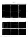 Fig. 10 - Composition for inducing direct transdifferentiation into oligodendrocyte progenitor cells from somatic cells and use thereof