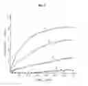 Fig. 03 - Method for the detection of polypeptide specific immune cells