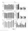 Fig. 04 - Megakaryocytic particles and microparticles for cell therapy and fate modification of stem and progenitor cells