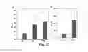 Fig. 13 - Megakaryocytic particles and microparticles for cell therapy and fate modification of stem and progenitor cells