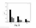 Fig. 22 - Megakaryocytic particles and microparticles for cell therapy and fate modification of stem and progenitor cells