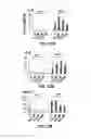 Fig. 17 - FORMATION OF MULTICELLULAR TUMOROIDS AND USES THEREOF