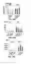 Fig. 18 - FORMATION OF MULTICELLULAR TUMOROIDS AND USES THEREOF