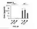 Fig. 19 - FORMATION OF MULTICELLULAR TUMOROIDS AND USES THEREOF