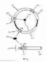 Fig. 06 - DIRECTED NUCLEIC ACID REPAIR
