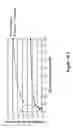 Fig. 22 - N-terminal derivatisation of proteins with polysaccharides
