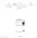 Fig. 02 - NITRILASE FROM ARABIS ALPINA, ITS ENCODING GENE, VECTOR, RECOMBINANT BACTERIAL STRAIN AND USES THEREOF