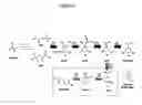Fig. 11 - Organic acid synthesis from C1 substrates