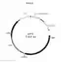 Fig. 19 - Organic acid synthesis from C1 substrates