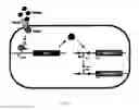 Fig. 06 - GENETICALLY ENGINEERED SENSORS FOR IN VIVO DETECTION OF BLEEDING
