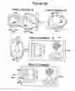 Fig. 07 - SELF-ITERATING EXOSOMAL VECTOR FOR EFFECTIVE BIOMOLECULAR TRANSFERS