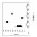 Fig. 16 - Methods for genomic integration