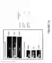Fig. 19 - Methods for genomic integration