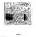Fig. 06 - Synthesis of long-chain polyunsaturated fatty acids by recombinant cells