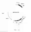 Fig. 08 - Synthesis of long-chain polyunsaturated fatty acids by recombinant cells