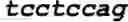 Fig. 06 - Eukaryotic cells and methods for recombinantly expressing a product of interest