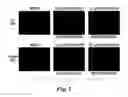 Fig. 02 - NOVEL METHODOLOGY FOR IDENTIFYING ANTI-PERSISTER ACTIVITY AND ANTIMICROBIAL SUSCEPTIBILITY FOR BORRELIA BURGDORFERI AND OTHER BACTERIA