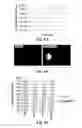 Fig. 09 - NOVEL METHODOLOGY FOR IDENTIFYING ANTI-PERSISTER ACTIVITY AND ANTIMICROBIAL SUSCEPTIBILITY FOR BORRELIA BURGDORFERI AND OTHER BACTERIA