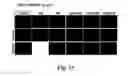 Fig. 16 - NOVEL METHODOLOGY FOR IDENTIFYING ANTI-PERSISTER ACTIVITY AND ANTIMICROBIAL SUSCEPTIBILITY FOR BORRELIA BURGDORFERI AND OTHER BACTERIA