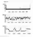 Fig. 34 - Method of improving the movement of a target polynucleotide with respect to a transmembrane pore