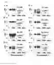 Fig. 22 - PREDICTING INCREASED RISK FOR ALZHEIMER'S DISEASE
