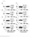 Fig. 23 - PREDICTING INCREASED RISK FOR ALZHEIMER'S DISEASE