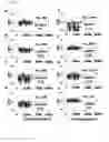 Fig. 24 - PREDICTING INCREASED RISK FOR ALZHEIMER'S DISEASE