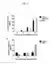 Fig. 03 - QPCR-BASED METHOD TO ASSESS T CELL FUNCTION