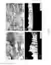 Fig. 06 - Processes for producing continuous bulk forms of iron-silicon alloys and bulk forms produced thereby