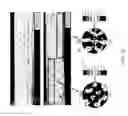 Fig. 11 - Processes for producing continuous bulk forms of iron-silicon alloys and bulk forms produced thereby
