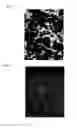 Fig. 02 - Metastable beta-titanium alloys and methods of processing the same by direct aging