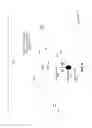 Fig. 07 - Electrochemical cell with increased current density
