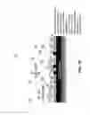 Fig. 11 - Electrochemical cell with increased current density