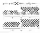 Fig. 01 - Precursor and process design for photo-assisted metal atomic layer deposition (ALD) and chemical vapor deposition (CVD)