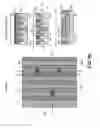 Fig. 20 - Precursor and process design for photo-assisted metal atomic layer deposition (ALD) and chemical vapor deposition (CVD)