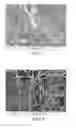 Fig. 03 - Stabilization of metallic nanowire meshes via encapsulation
