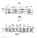 Fig. 07 - Three-Dimensional Woven Composite Vehicle Components for Crashworthiness