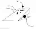 Fig. 01 - Novel Socks and Small Clothing Article Organizational Device
