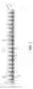 Fig. 02 - PROTECTIVE BINDING LAYER