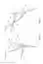 Fig. 03 - EARTH ANCHOR