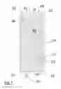 Fig. 04 - Apparatus, methods and articles of manufacture for dry pipe sprinkler system