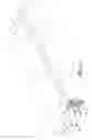 Fig. 07 - Removable and replaceable cover for a window support of a curtain wall
