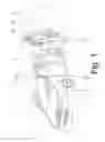 Fig. 02 - Closing element, in particular for a motor vehicle