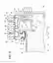 Fig. 32 - Threshold assembly for an entryway system