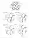 Fig. 14 - Rotary machine